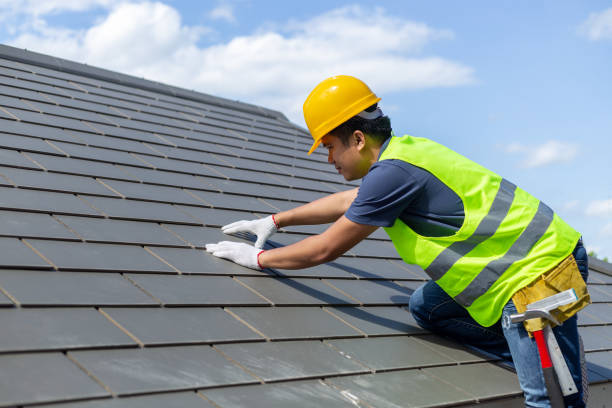 Best Roof Maintenance Services  in Webster City, IA