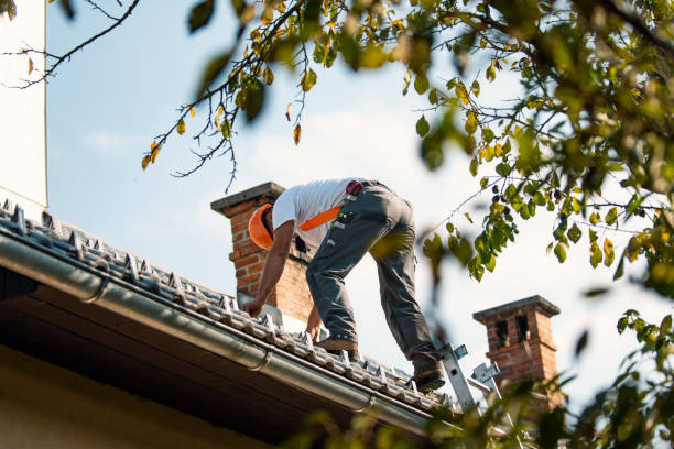 Gutter Installation and Roofing in Webster City, IA