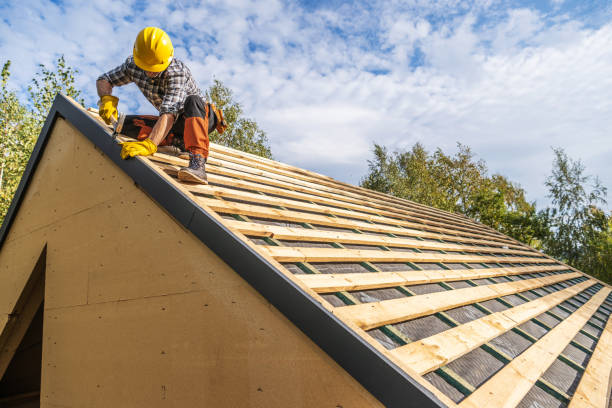 Best Local Roofing Companies  in Webster City, IA