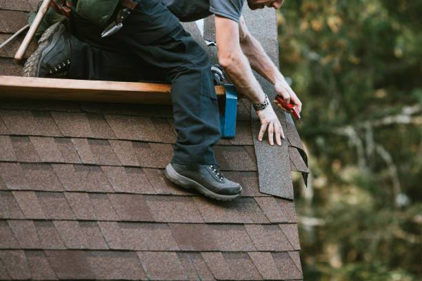Best Roof Leak Repair  in Webster City, IA